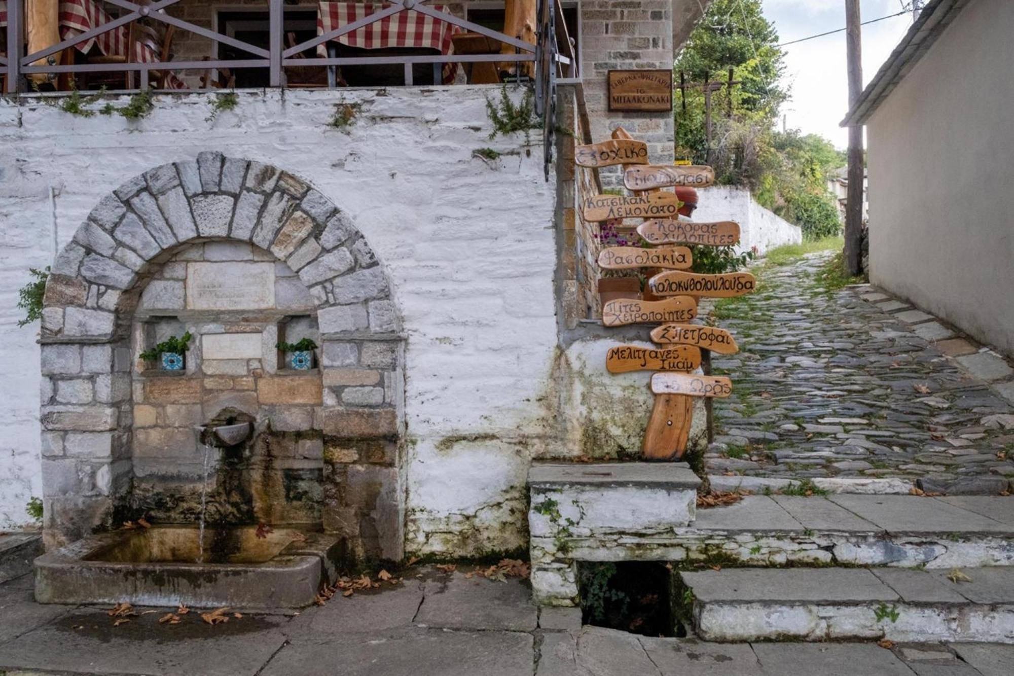Archontiko Michael Pelion Aparthotel Vyzitsa Exteriör bild