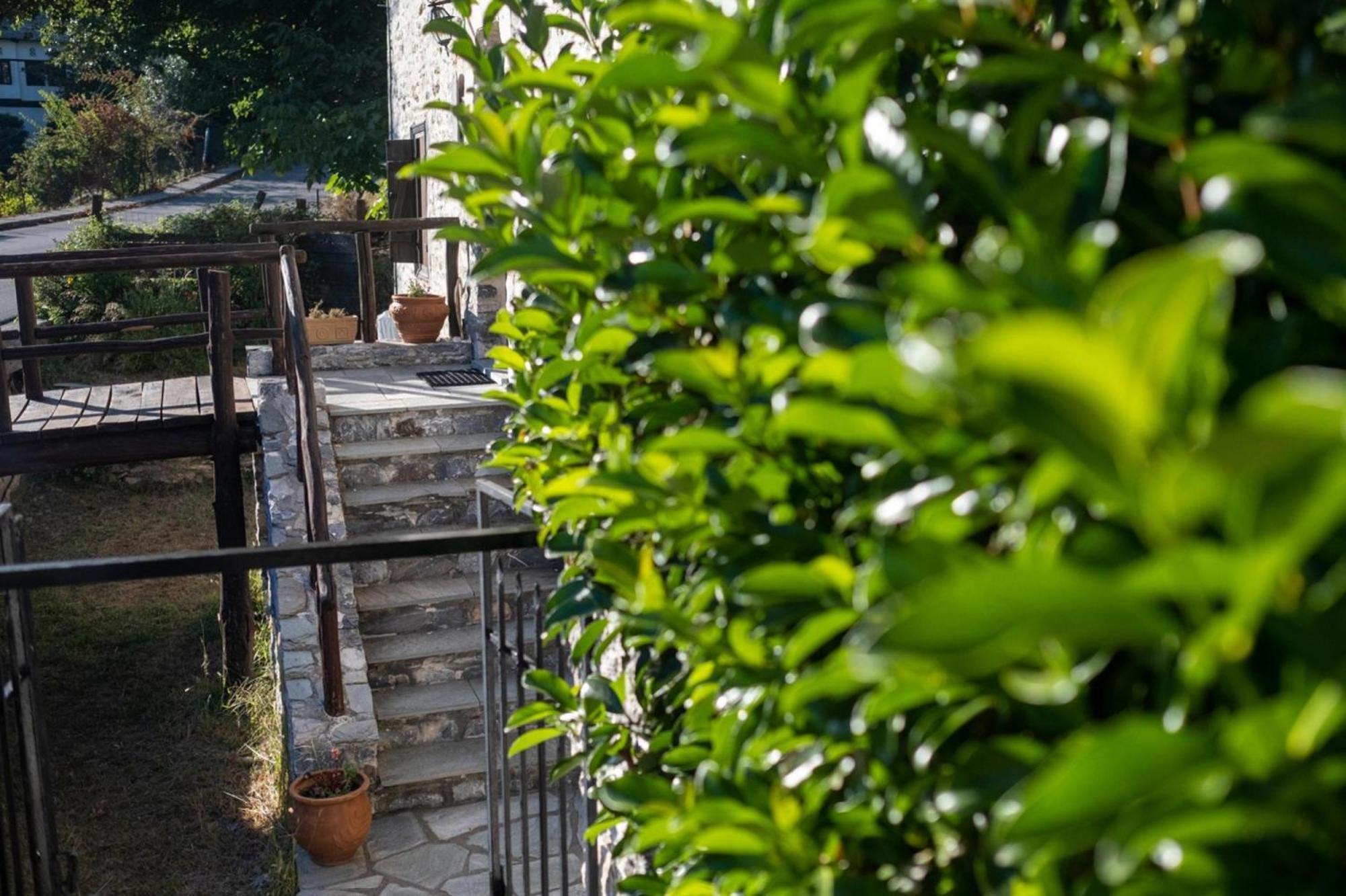 Archontiko Michael Pelion Aparthotel Vyzitsa Exteriör bild