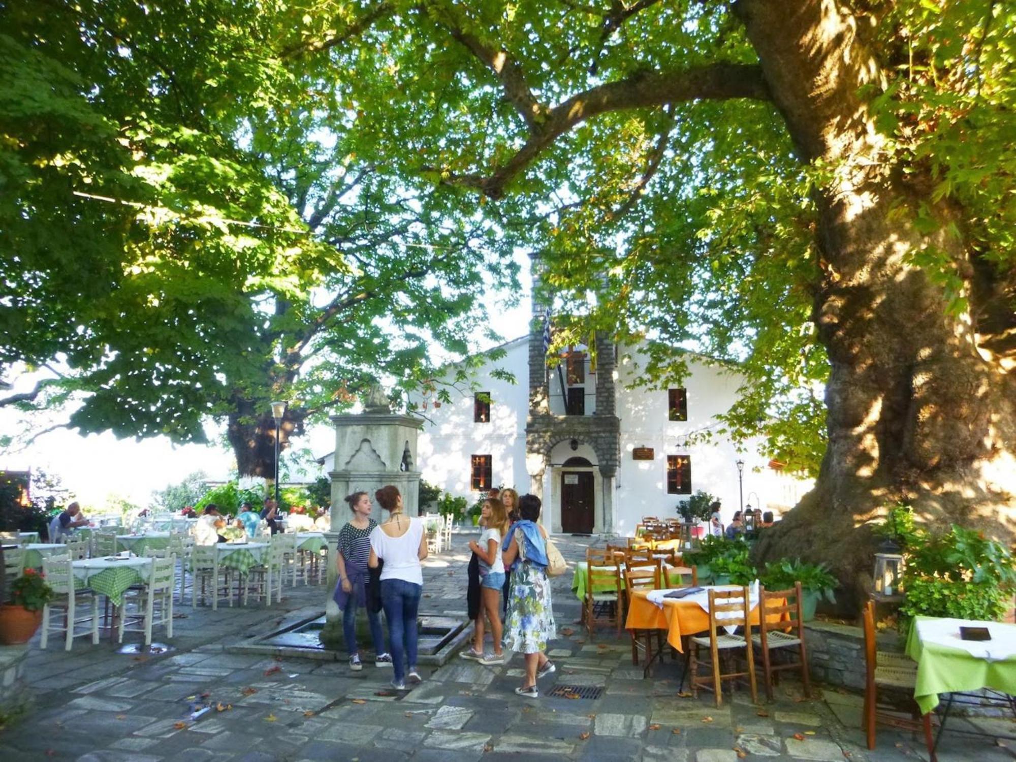 Archontiko Michael Pelion Aparthotel Vyzitsa Exteriör bild